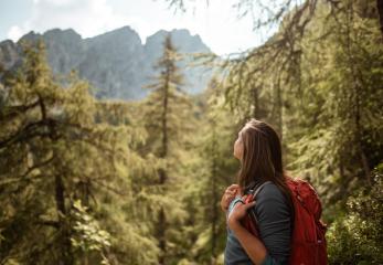 Escursione nel bosco