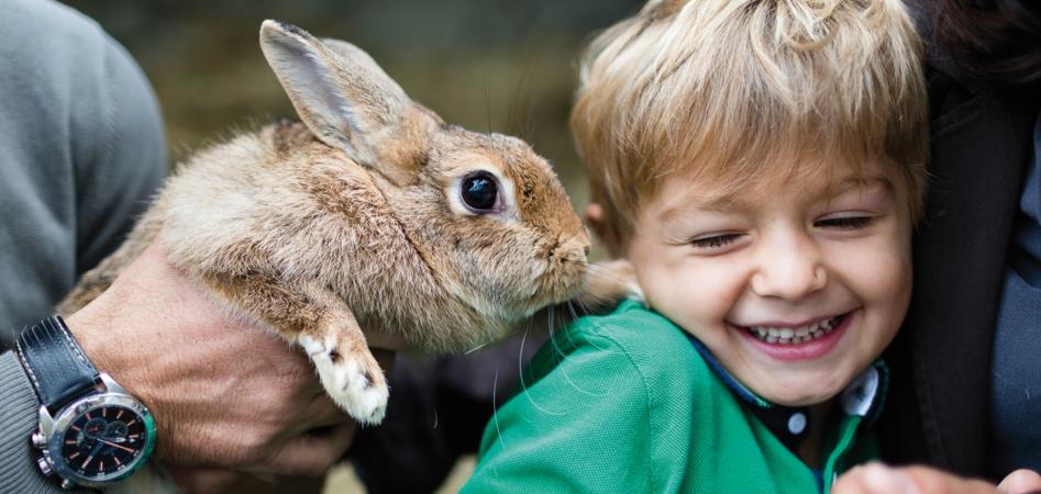 Kinder- und Babybetreuung