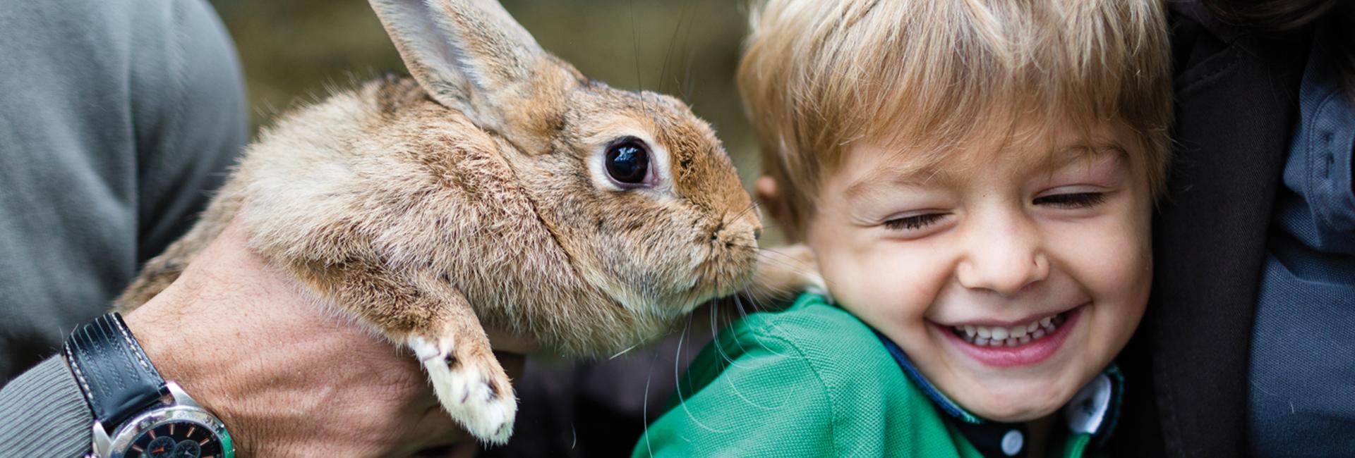 Kinder- und Babybetreuung